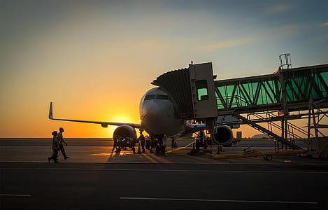 plane beside crane during golden hour thumbnail