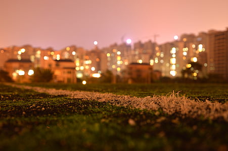 green grass field with city buildings on background macro shot thumbnail