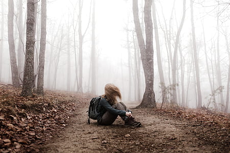 woman sits on pathway surrounded with trees with fogs thumbnail