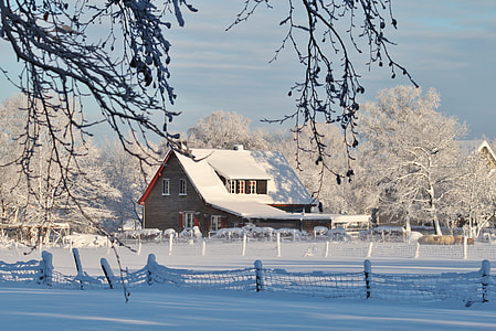 brown house covered with snow surrounded by trees thumbnail