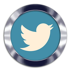 Twitter logo in silver frame thumbnail