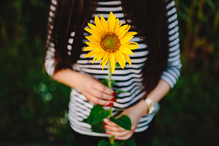 Young couple with sunflower thumbnail