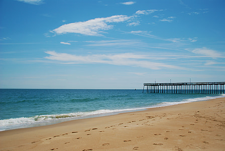 footprints on shore beside clam ocean thumbnail