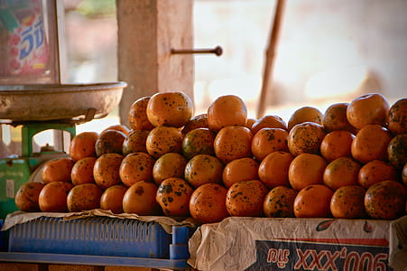 depth of field photography of bunch of orange fruits thumbnail