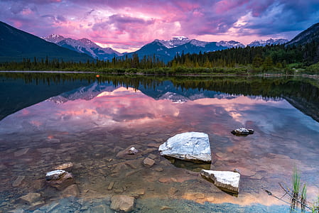 trees reflecting on body of water thumbnail