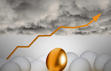 Golden Egg - Savings - Investments thumbnail