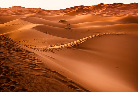 brown desert thumbnail