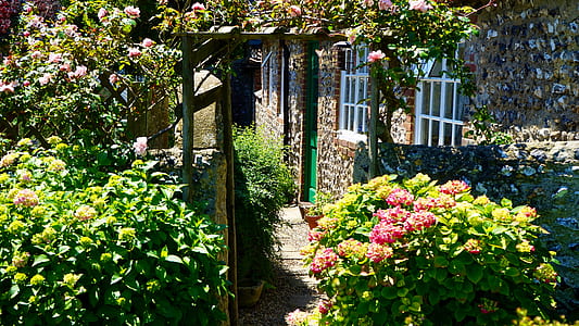nature, flowers, house, petals thumbnail