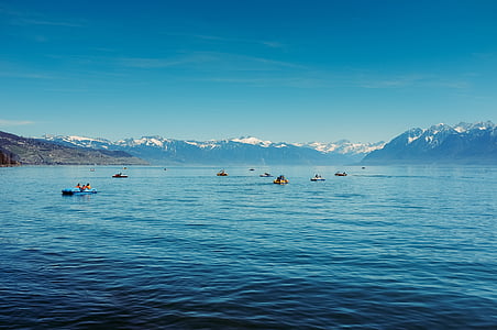group of people swimming on beach thumbnail