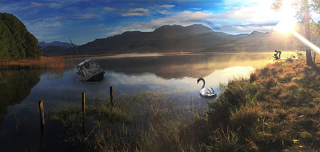 white and gray boat on body of water thumbnail