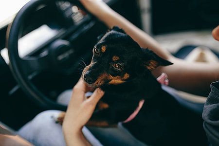 Woman in the car thumbnail