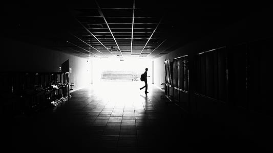 Silhouette of Man Walking on Hall thumbnail
