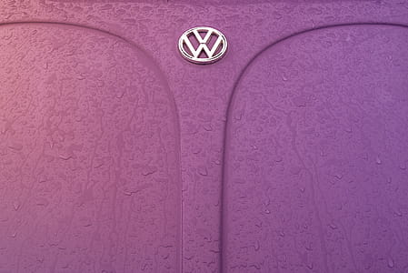The Beetle thumbnail