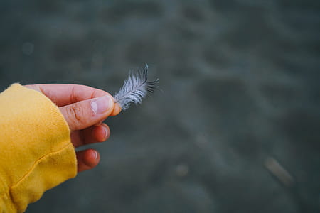 person holding feather thumbnail