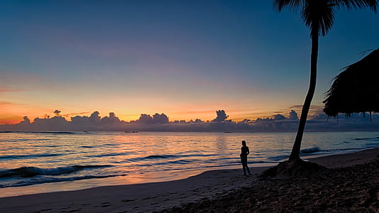 Silhouette of a Person Near Coconut Tree on Shore during Golden Hour thumbnail
