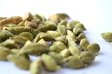 close-up photo green seeds thumbnail