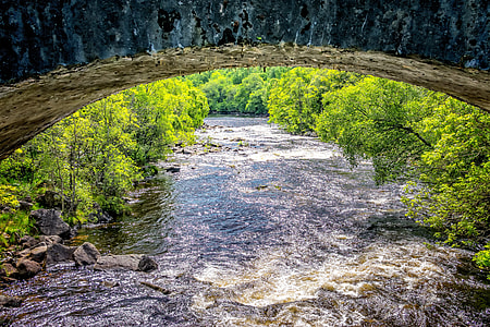 water flow between green leave trees thumbnail
