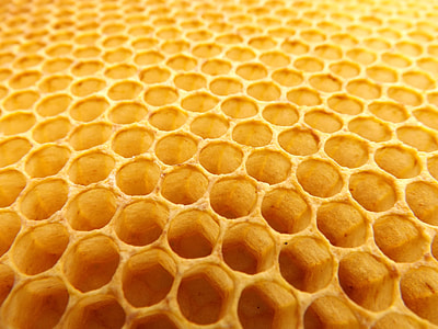 macro photography of Honey comb thumbnail