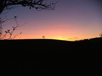 silhouette of tree painting thumbnail