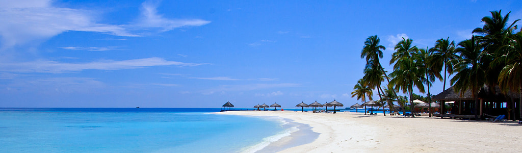 beach near gazebo and palm trees thumbnail