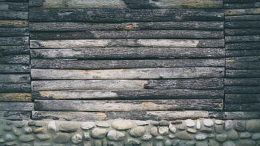 tree log board thumbnail