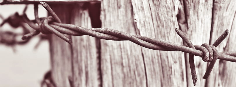 photography of barb wire thumbnail
