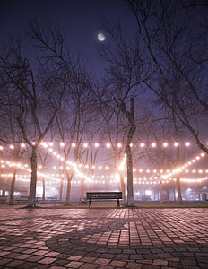 string lights in the middle of the park thumbnail
