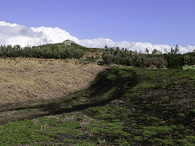 Montague Island Replanting in New South Wales, Australia thumbnail