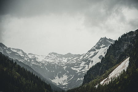 snow covered mountains between trees under white clouds thumbnail