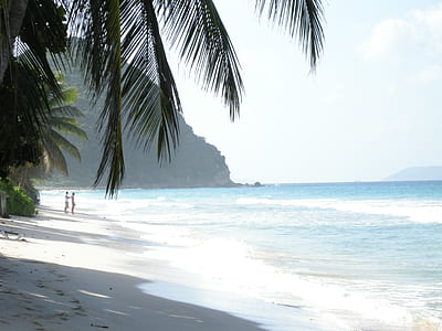 two person standing on seashore thumbnail
