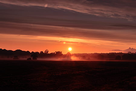 silhouette of tree during sunrise thumbnail