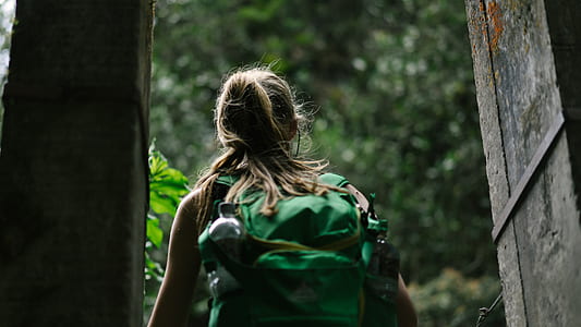 person wearing backpack surrounded by trees thumbnail