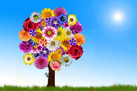 assorted-colored flower tree at daytime wallpaper thumbnail