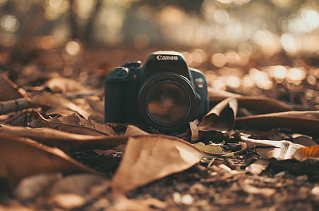 Canon DSLR Camera thumbnail