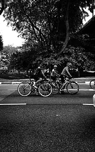 Monochrome Photography of People On Bicycle thumbnail