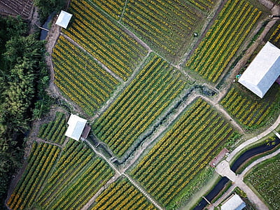 aerial view of grass field at daytime thumbnail