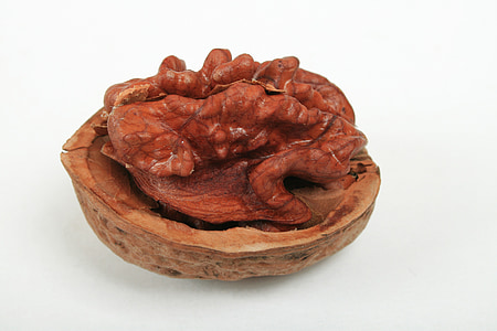 close up photography of walnut thumbnail