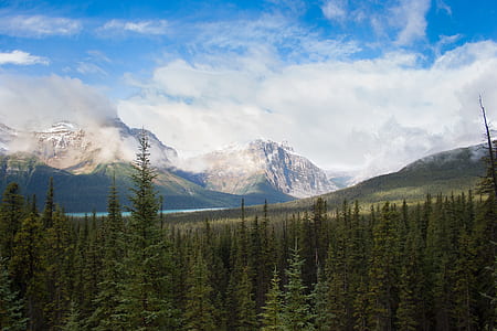 forest, mountains, and body of water thumbnail