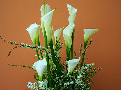 Flower Bouquet, White Calla Lily thumbnail
