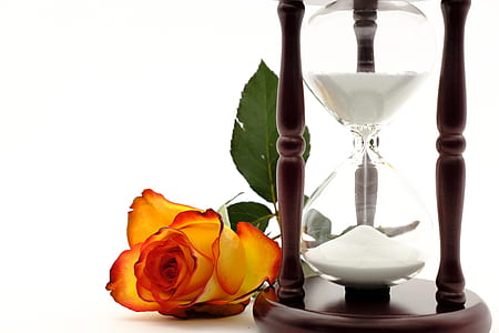 clear hour glass near red petaled flower thumbnail