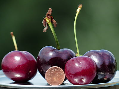 purple fruits and round gold-colored coin thumbnail
