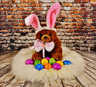 depth photography of bear with easter eggs\ thumbnail