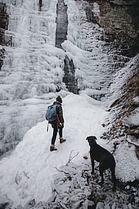 person beside dog on snow thumbnail