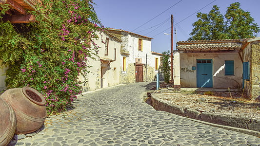 pink flowering vine plant beside brown ceramic vase on gray concrete pavement thumbnail
