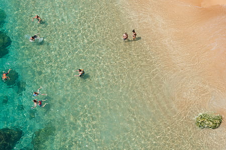 aerial photography of people swimming in the beach thumbnail