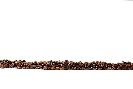 coffee bean lot thumbnail