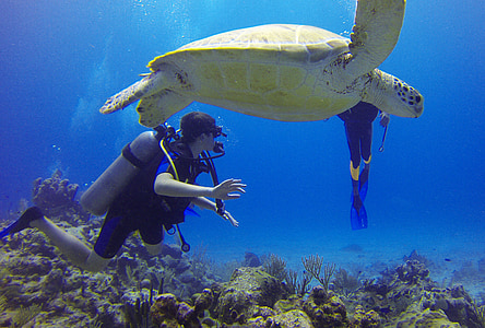 person diving under the water thumbnail
