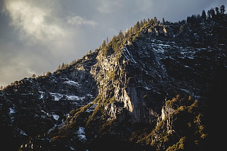 rock mountain covered with trees under gray sky thumbnail