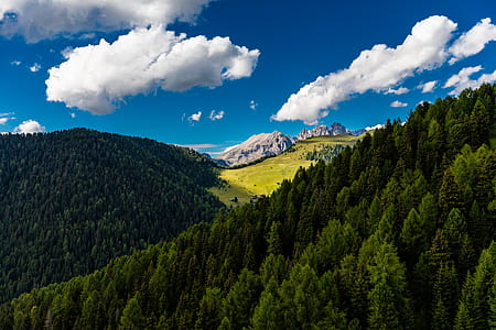 green leafed trees on hills under sunny cloudy sky during daytime thumbnail