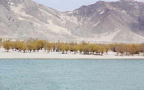 body of water beside desert with green trees thumbnail